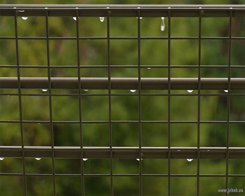 rain on the railing on my balcony