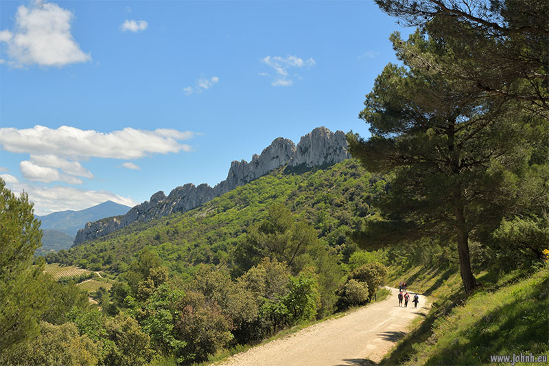 Dentelles de Montmirail 