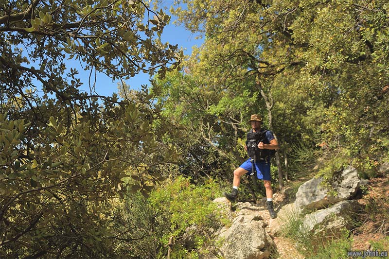 Dentelles de Montmirail 