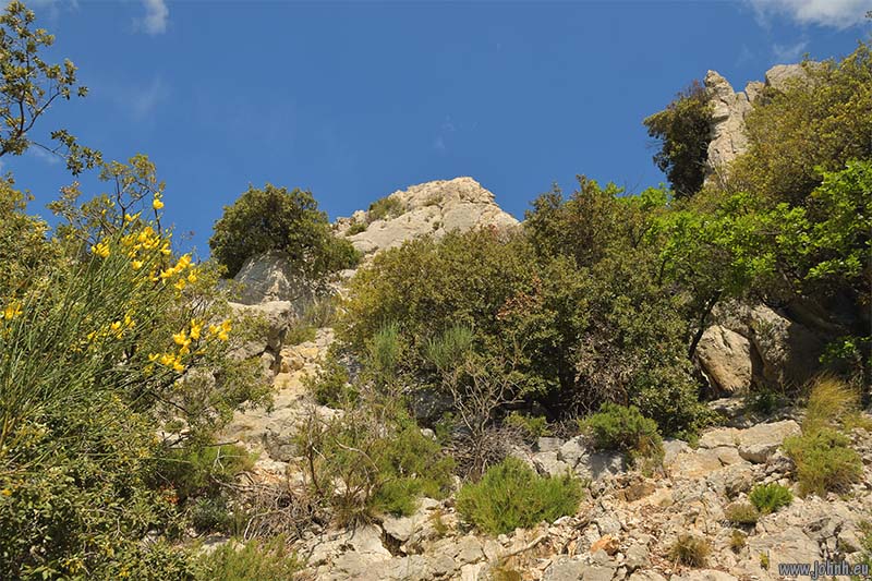 Dentelles de Montmirail 
