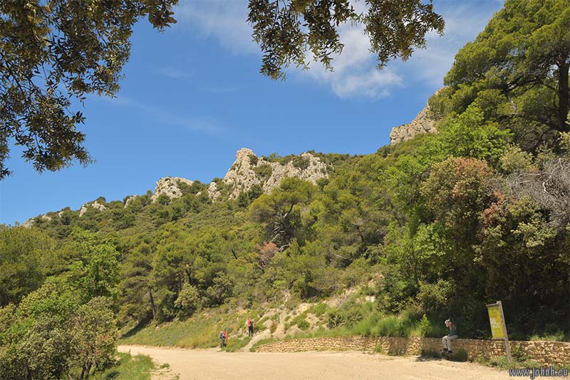 Dentelles de Montmirail 