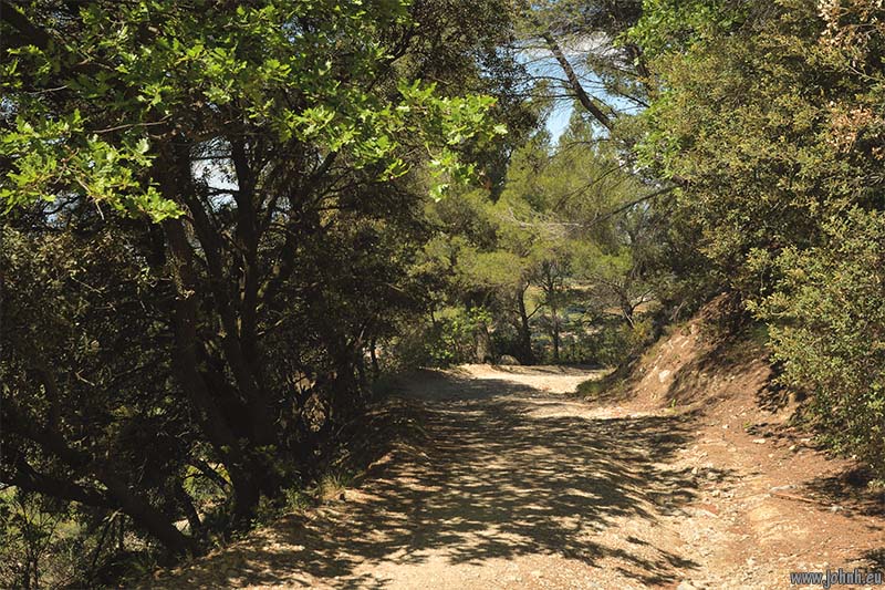 Dentelles de Montmirail 