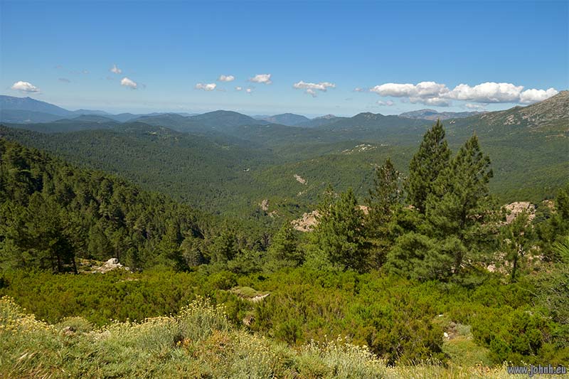 Corsica