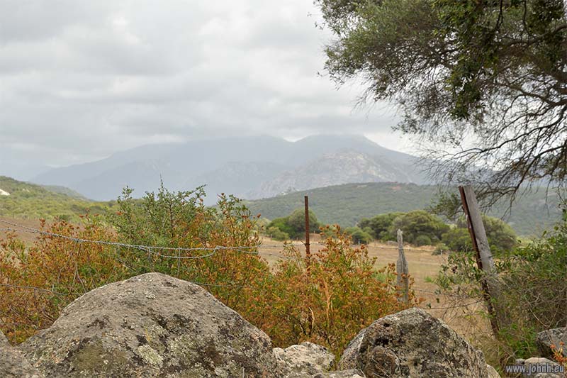 Corsica