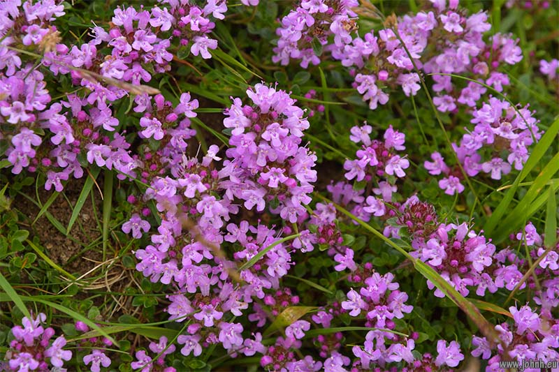 Langstrath, Lake District National Park