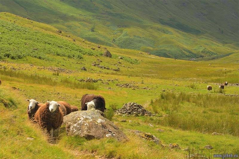 Langstrath, Lake District National Park