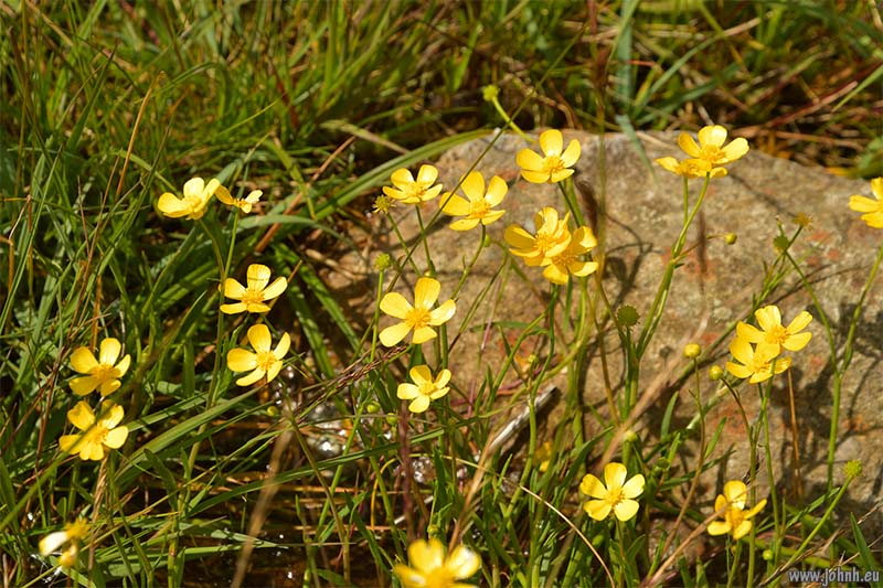 Langstrath, Lake District National Park