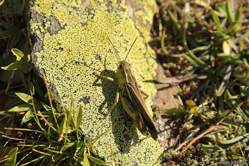 Col du Granon to Col de l’Oule