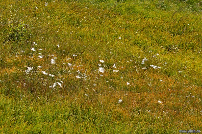 Col du Granon to Col de l’Oule