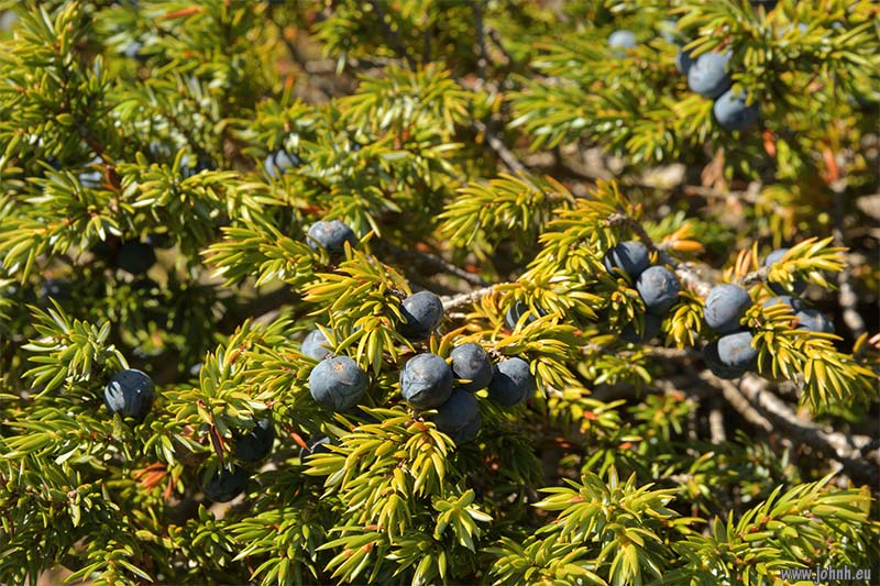 Col du Granon to Col de l’Oule