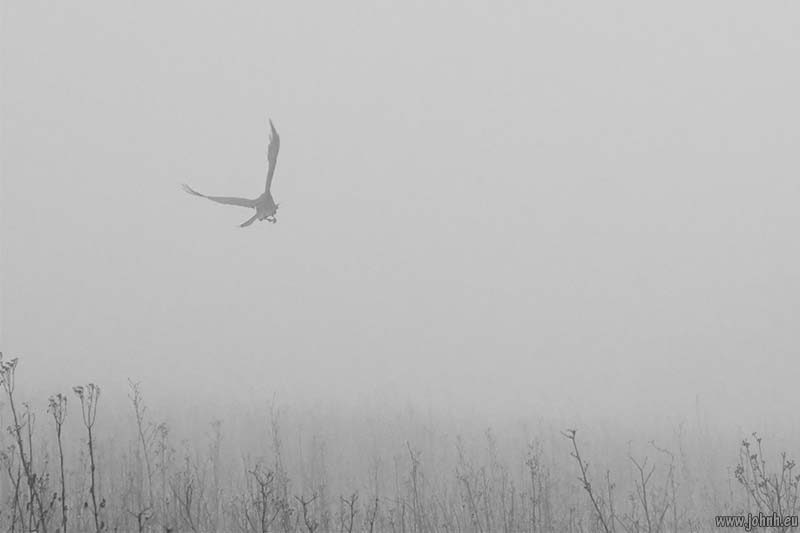 Hollingbury hill fort, Brighton