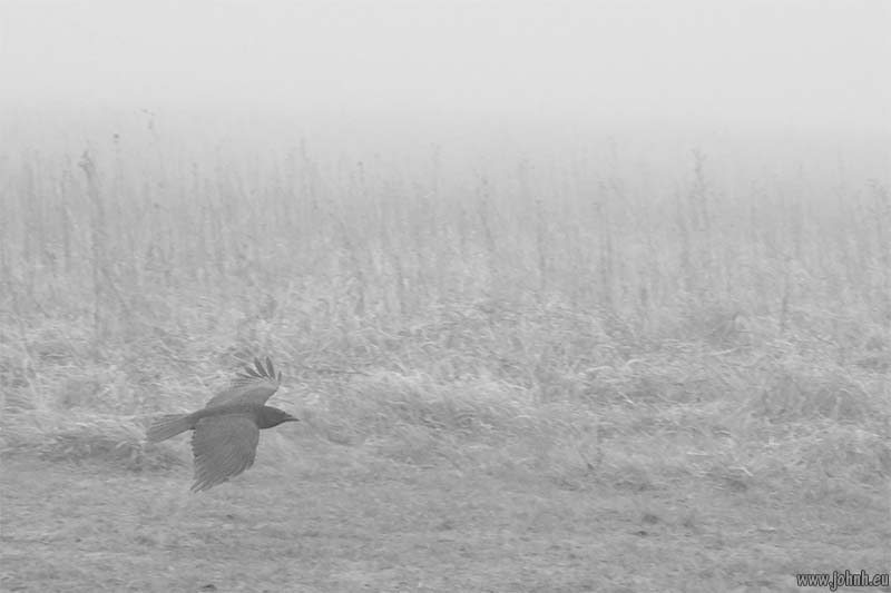 Hollingbury hill fort, Brighton