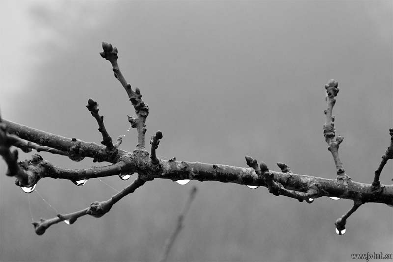 Hollingbury hill fort, Brighton