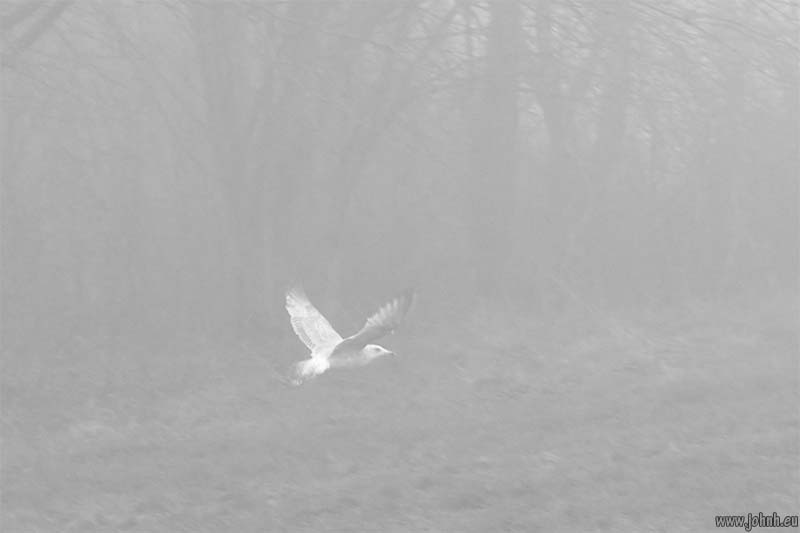 Hollingbury hill fort, Brighton
