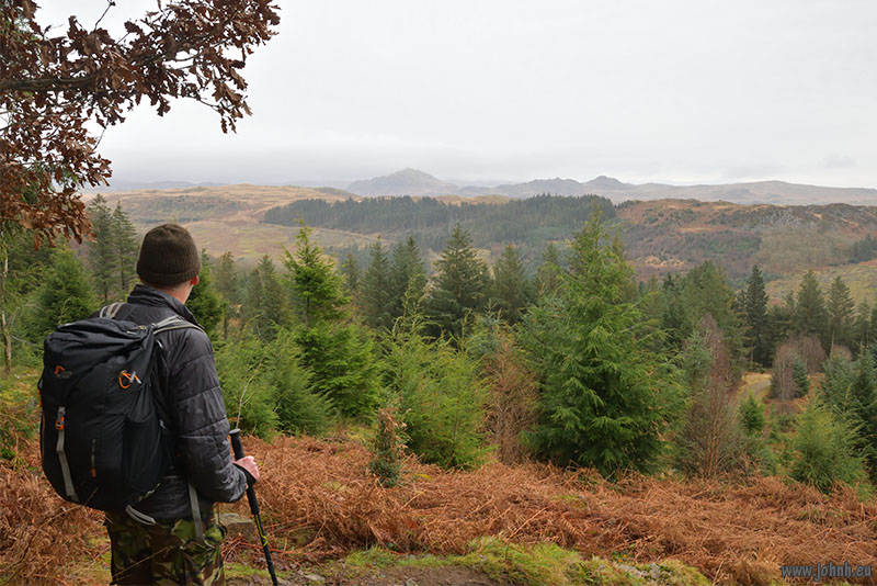 Miterdale Forest