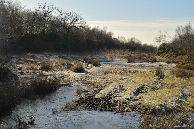 Blackdown Common, Devon