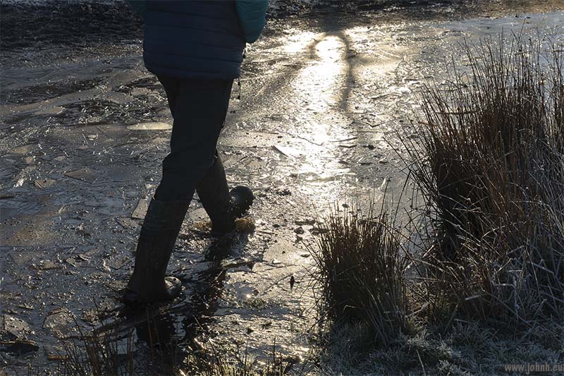 Blackdown Common, Devon