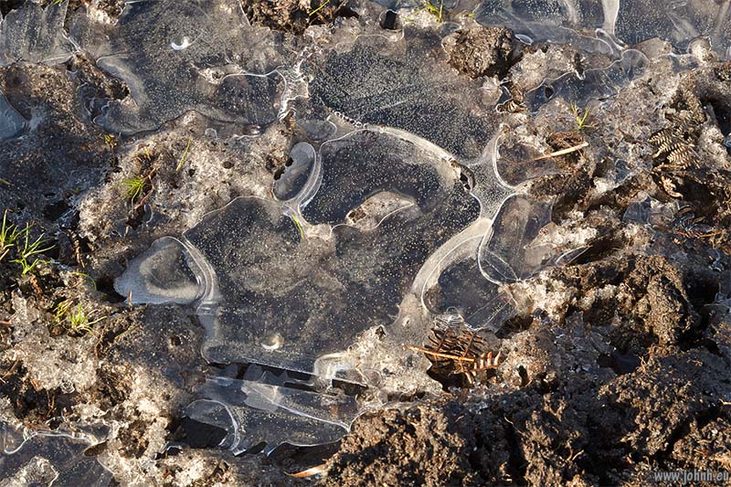 Blackdown Common, Devon