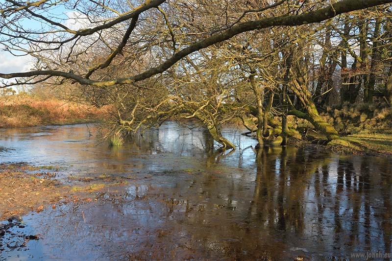 Blackdown Common, Devon
