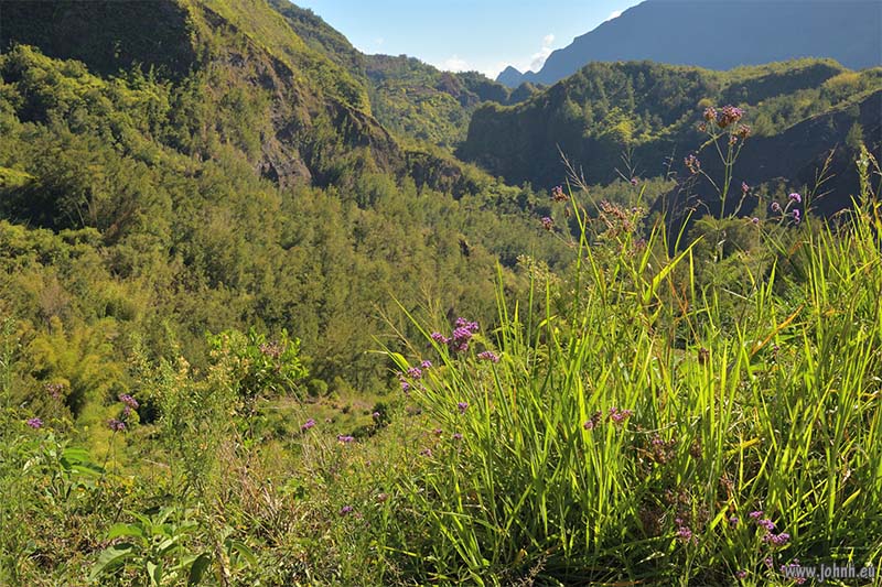 Tropical jungle hike GR R1, la Réunion