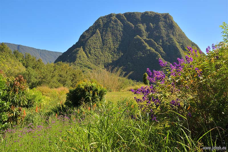 Tropical jungle hike GR R1, la Réunion