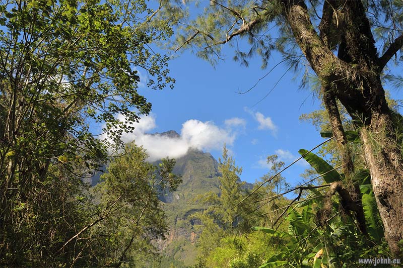 Tropical jungle hike GR R1, la Réunion