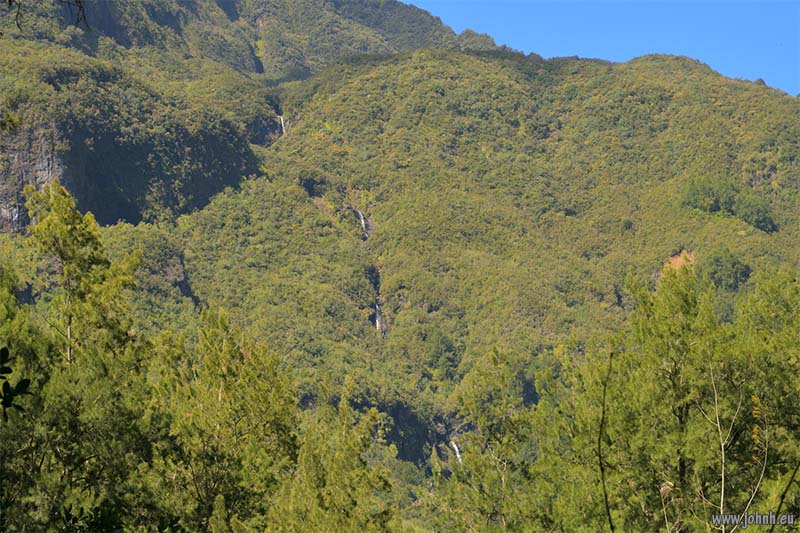 Tropical jungle hike GR R1, la Réunion