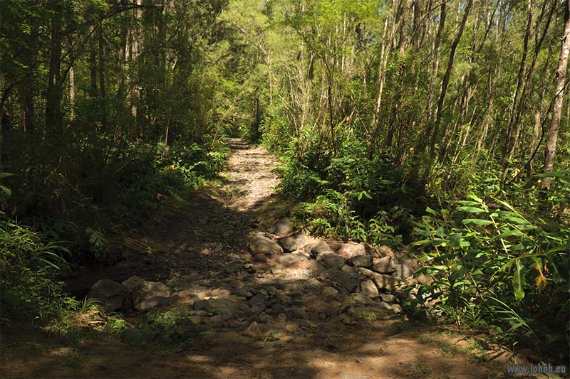 Tropical jungle hike GR R1, la Réunion
