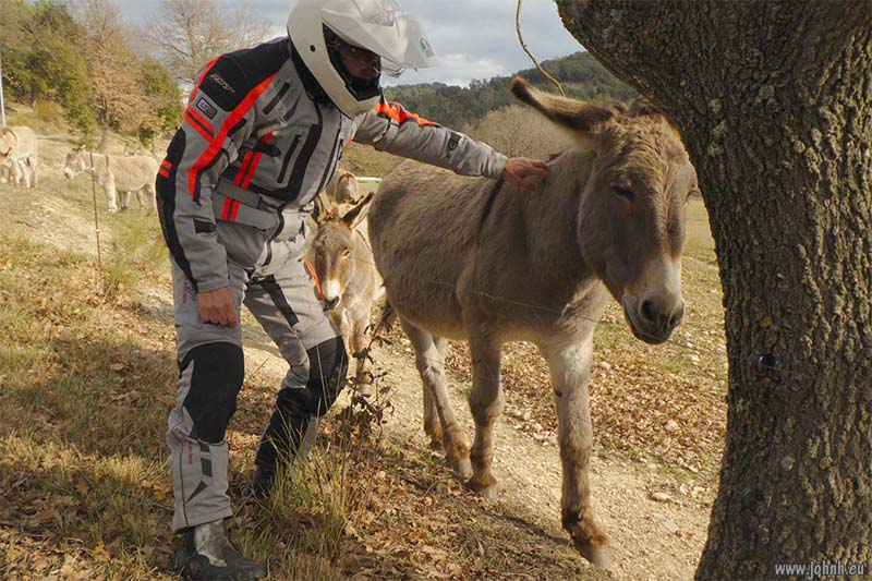 Cruising Haut-Provence on a Honda X-ADV 750