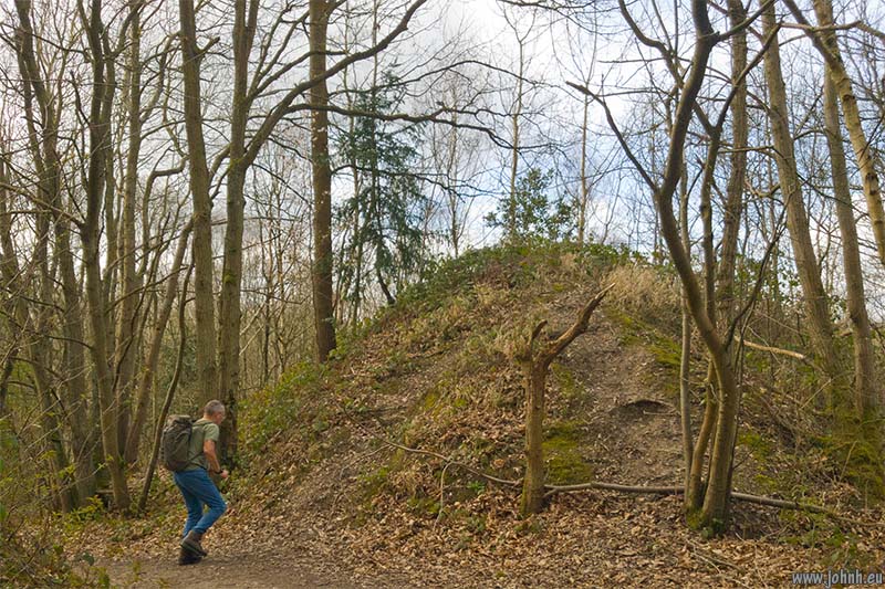 Darnley Trail, Shorne Woods Country Park, Kent