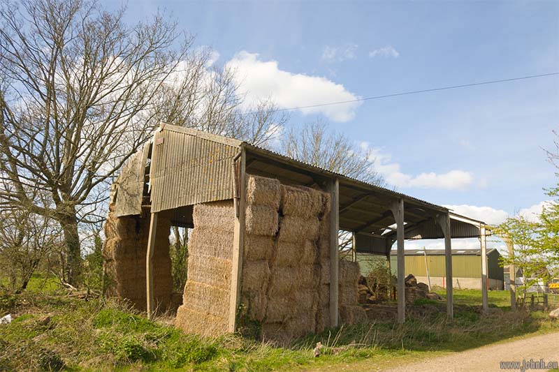 Darnley Trail, Shorne Woods Country Park, Kent