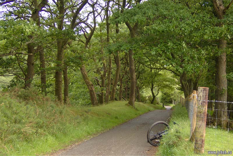 Brundholme Woods, Cumbria