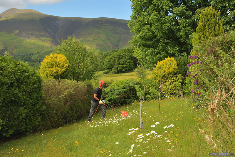 Garden meadow in Keswick, Cumbria