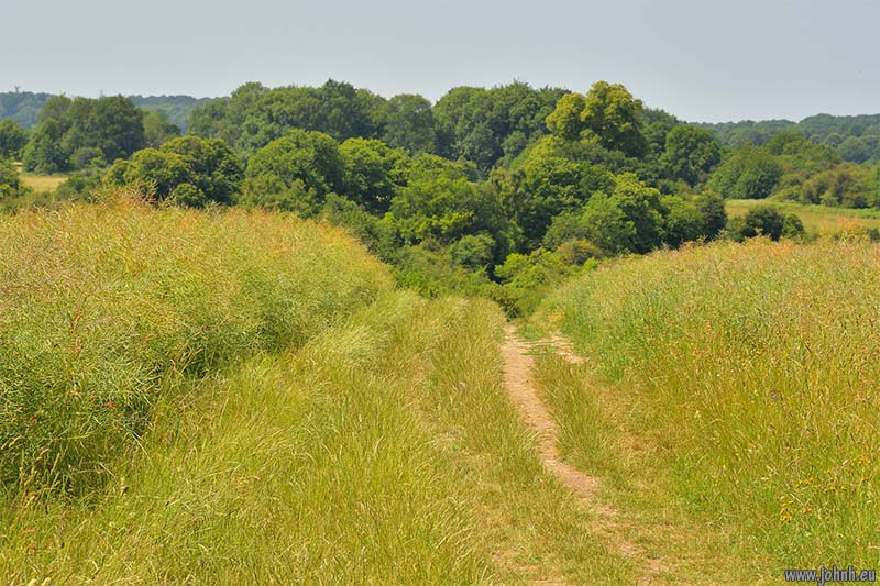 Valley of the River Darent