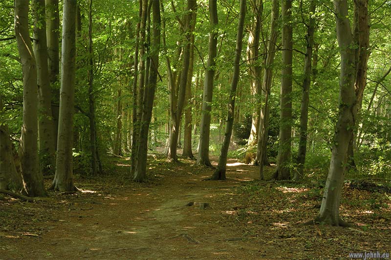 Valley of the River Darent