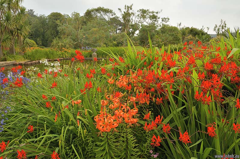 Logan Botanic Garden, Galloway