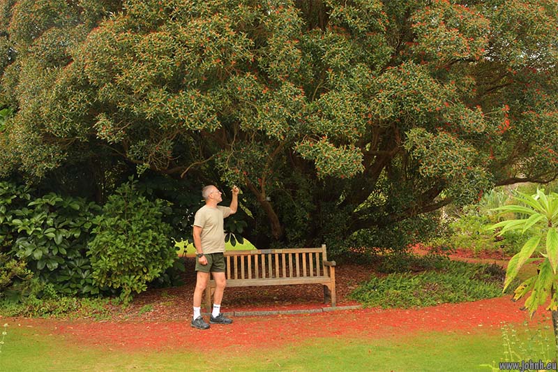 Logan Botanic Garden, Galloway