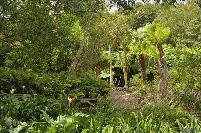 Logan Botanic Garden, Galloway
