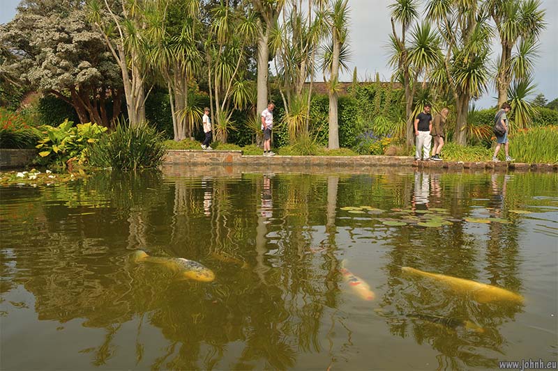 Logan Botanic Garden, Galloway