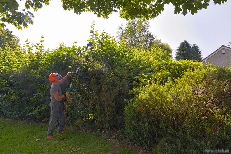 Keswick garden trimming