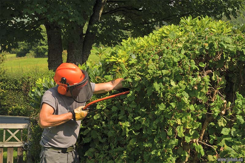 Keswick garden trimming