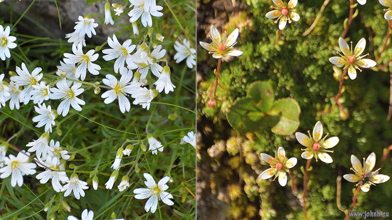 Hike from the téléphérique at La Grave, Alpes-de-Haut-Provence