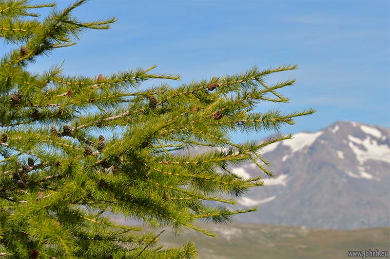 Hike from the téléphérique at La Grave, Alpes-de-Haut-Provence