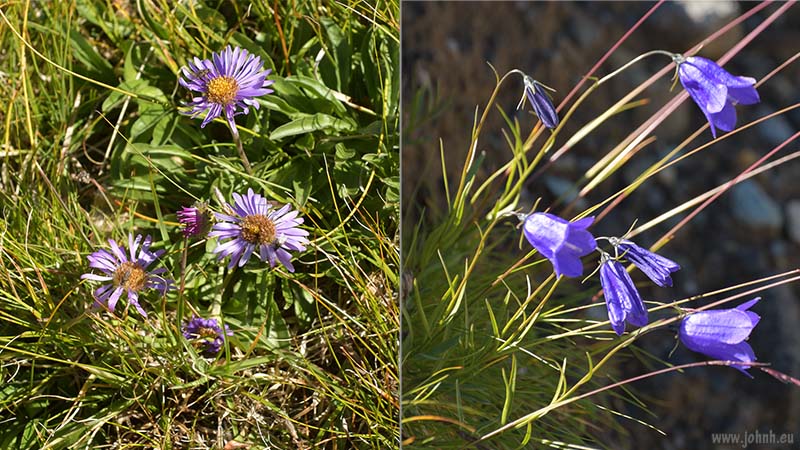 Hike from the téléphérique at La Grave, Alpes-de-Haut-Provence