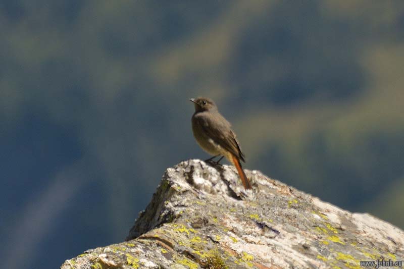 Hike from the téléphérique at La Grave, Alpes-de-Haut-Provence