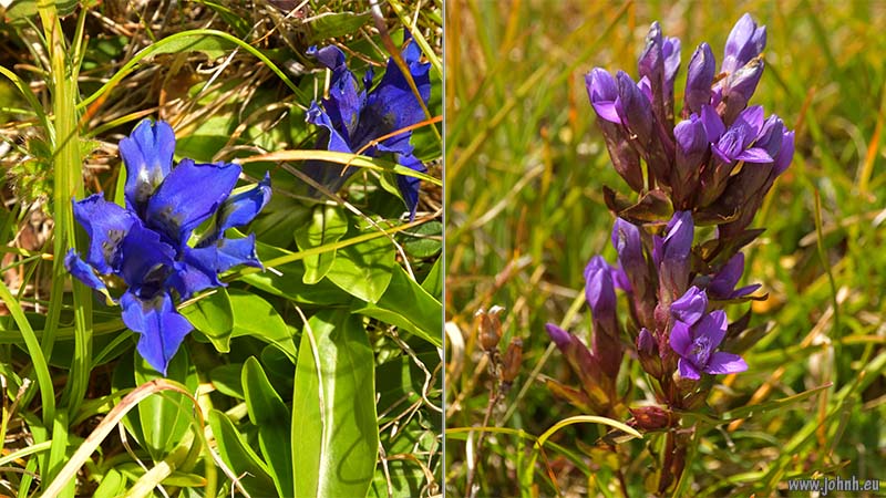 Hike from the téléphérique at La Grave, Alpes-de-Haut-Provence