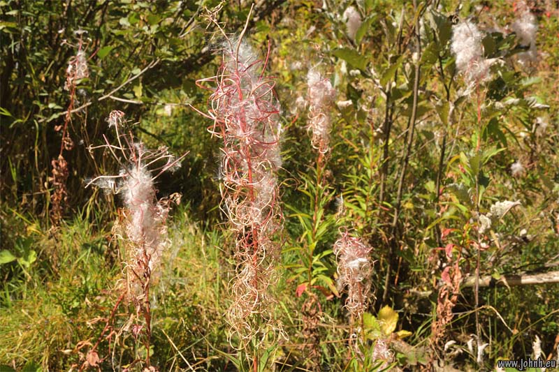 Valgaudemar - Parc national des Écrins