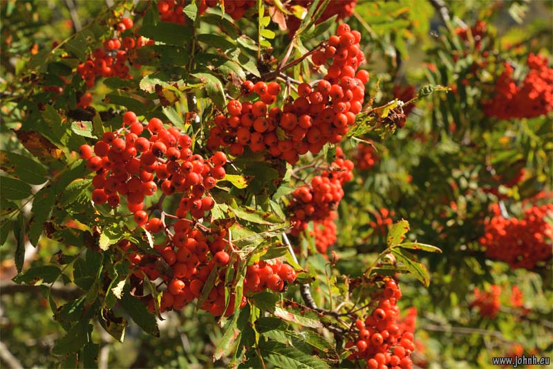 Valgaudemar - Parc national des Écrins