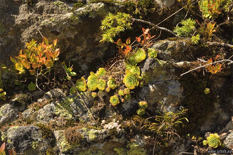 Valgaudemar - Parc national des Écrins