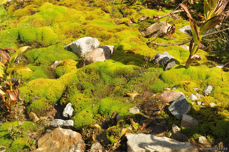 Valgaudemar - Parc national des Écrins